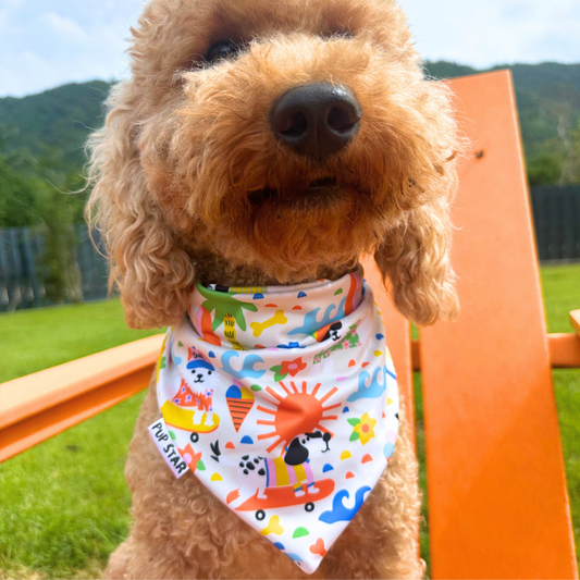 CHILL DOG BANDANA *Limited Edition*