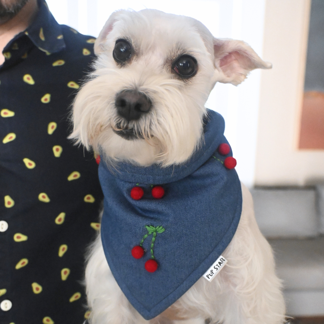 CHERRY DOG BANDANA
