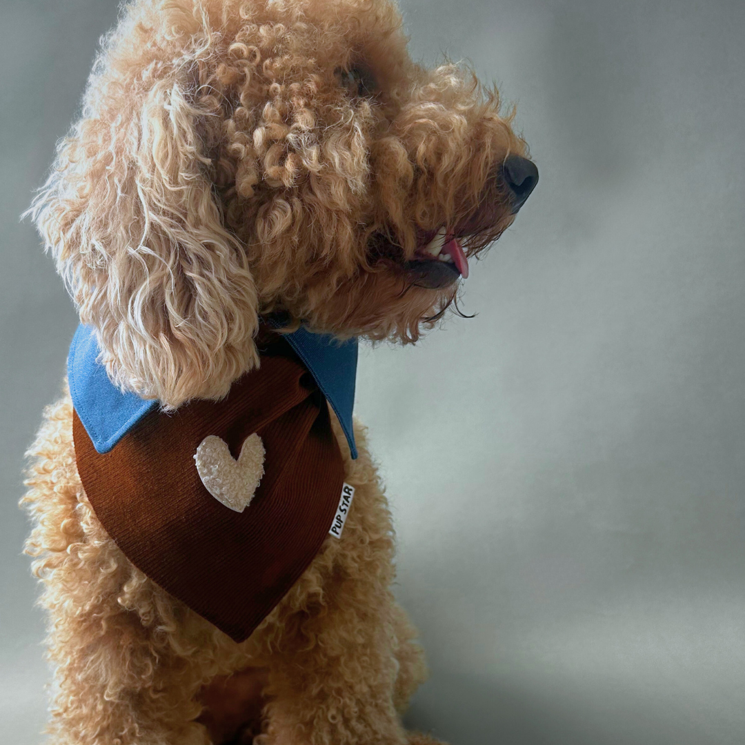 CORDUROY BROWN LOVE DOG BANDANA