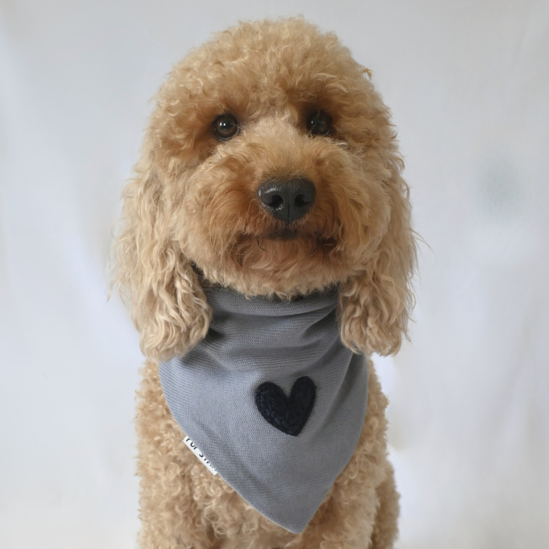Blue Love Bandana π
Soft, sweet, and made to melt hearts.
Push-button closure + sherpa heart detail.