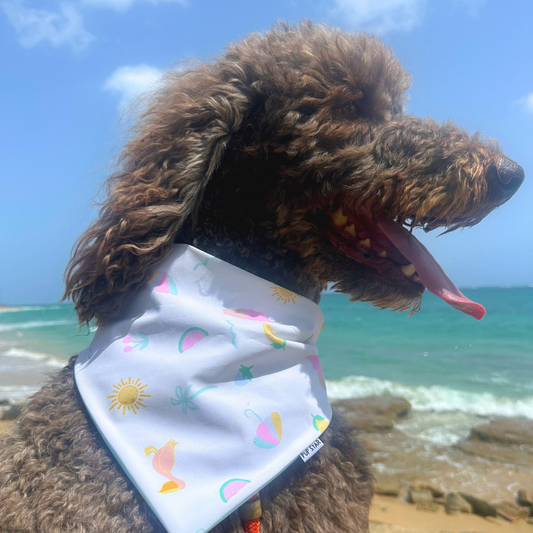 Reversible summer dog bandana with playful beach-themed prints — waterproof, lightweight, and perfect for sunny adventures.
