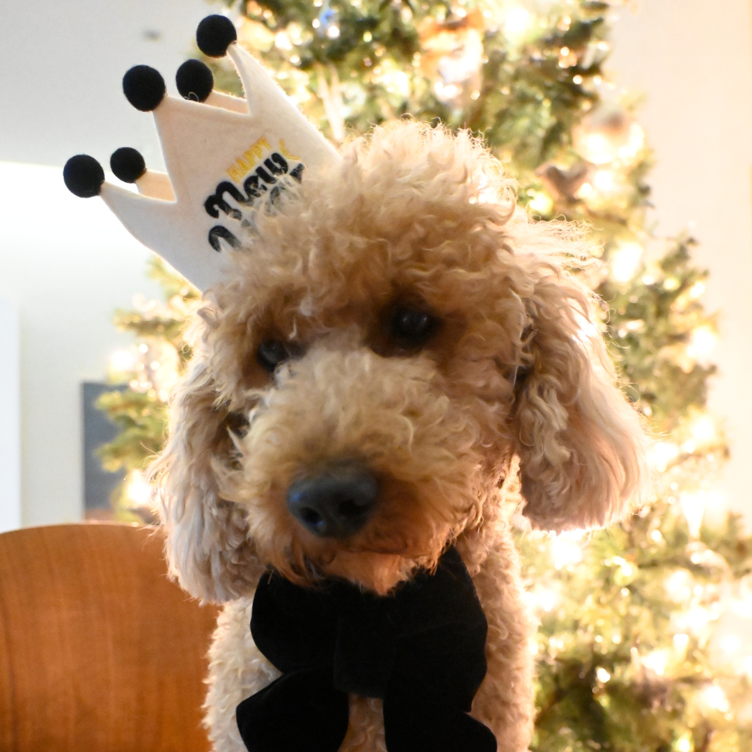 HAPPY NEW YEAR CROWN