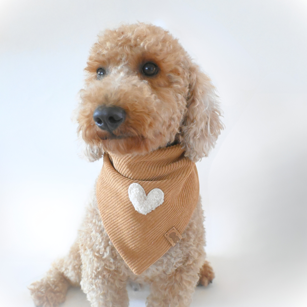 CAMEL LOVELY DOG BANDANA