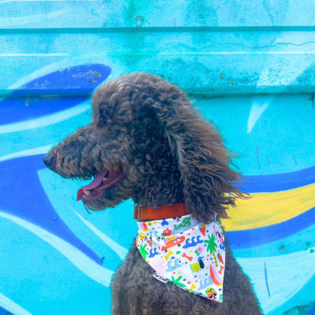 CHILL DOG BANDANA *Limited Edition*