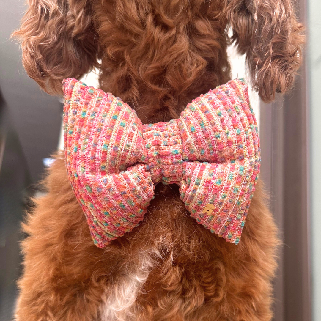 Make every walk a runway moment the Runway Bow Tie brings elegance, structure, and undeniable charm to your pup’s look.