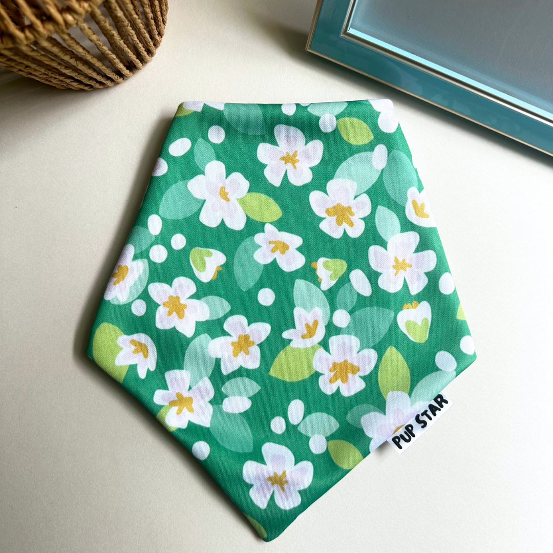 Spring Bloom
