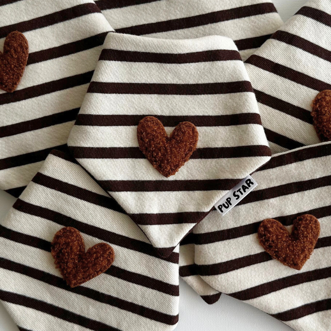 The Cocoa Set