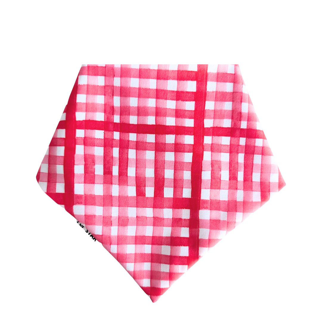 ENJOY THE PICNIC DOG BANDANA (2-IN-1) *Limited Edition*