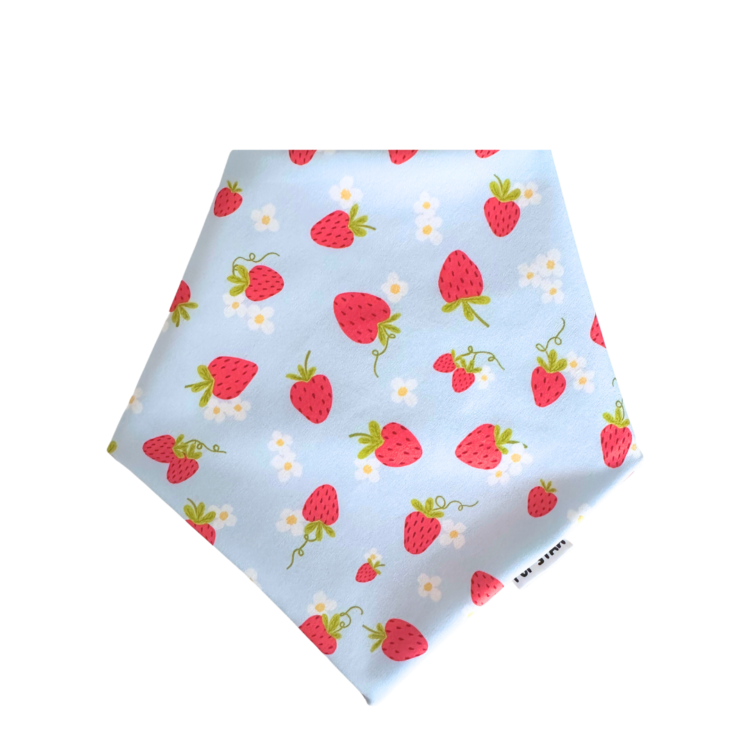 ENJOY THE PICNIC DOG BANDANA (2-IN-1) *Limited Edition*