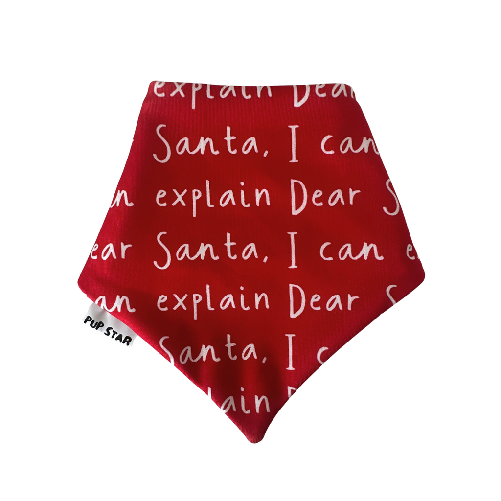 I CAN EXPLAIN DOG BANDANA *Limited Edition*