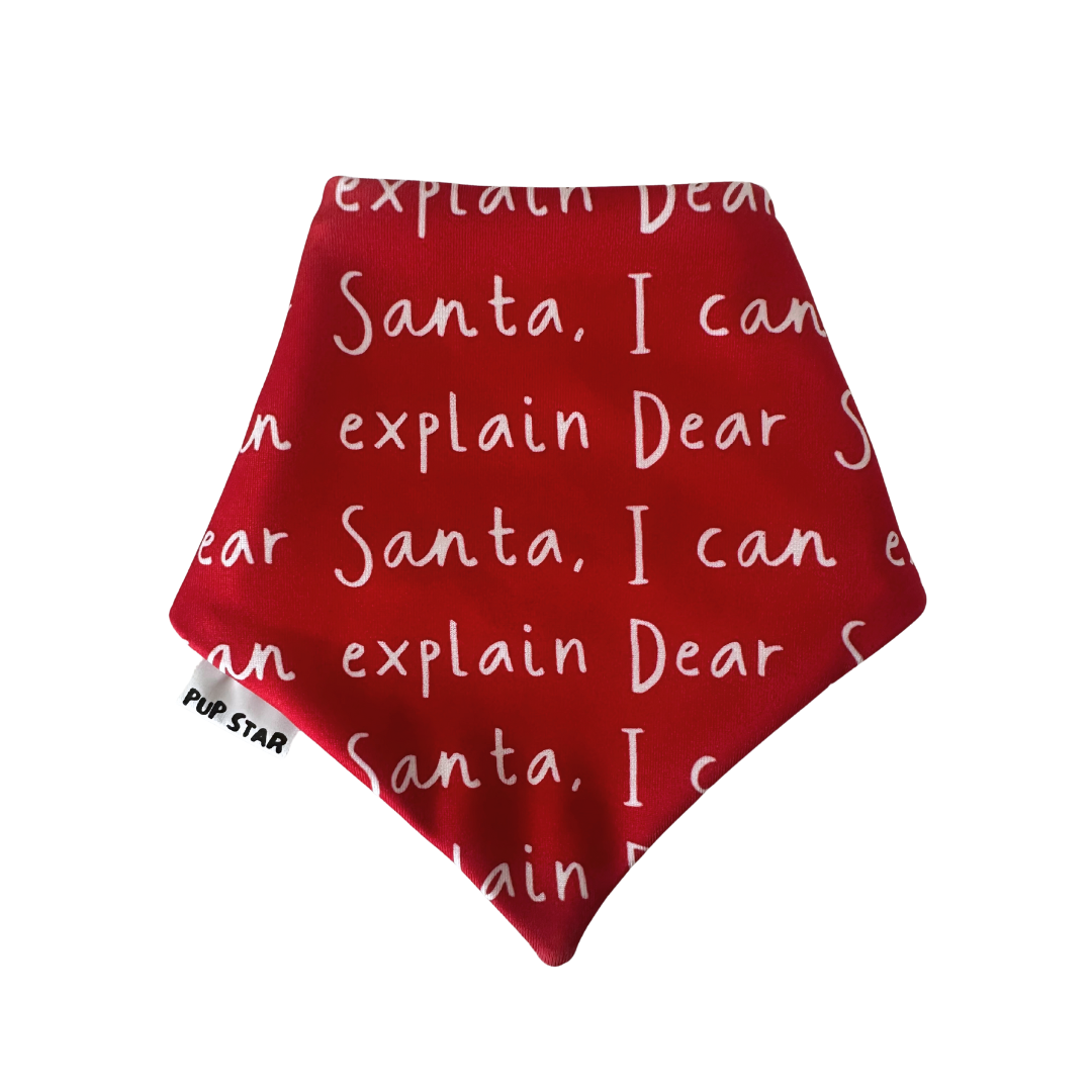 I CAN EXPLAIN DOG BANDANA *Limited Edition*