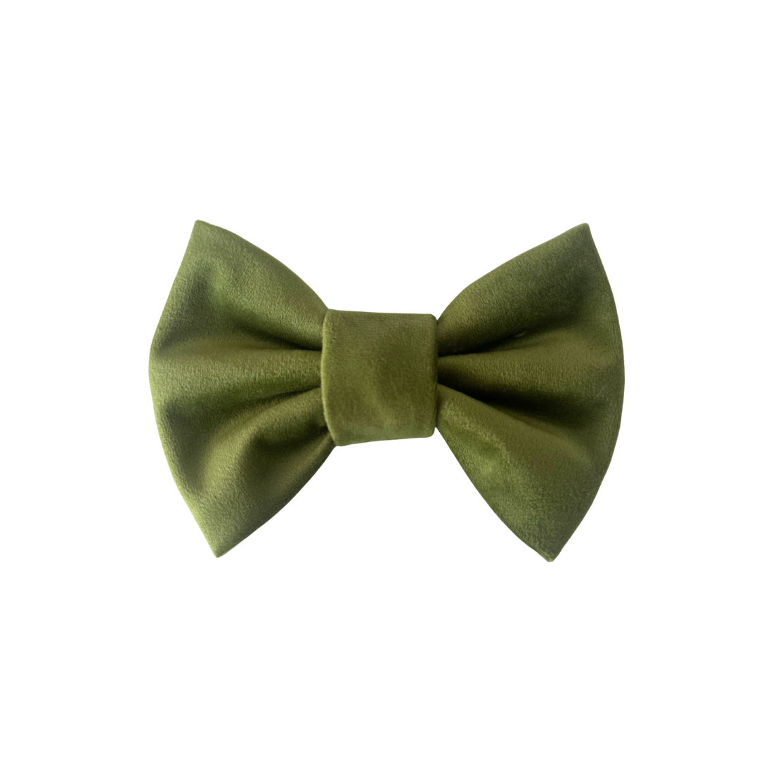GREEN BOW TIE