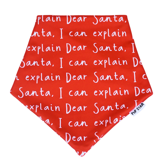 Dear Santa Dog Bandana