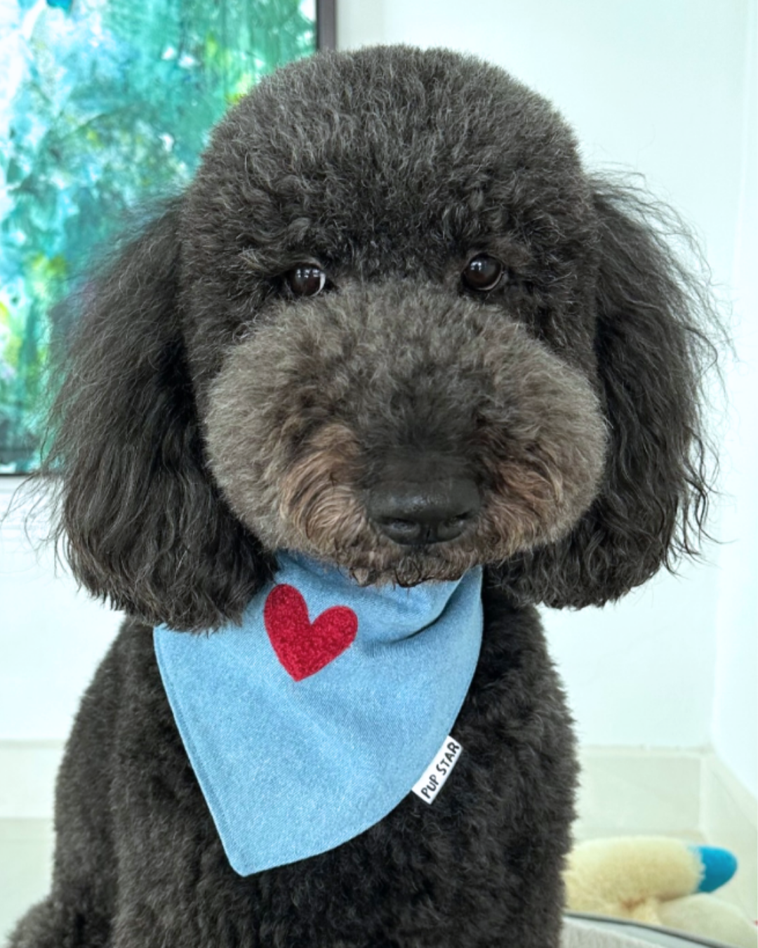 DENIM LOVE DOG BANDANA