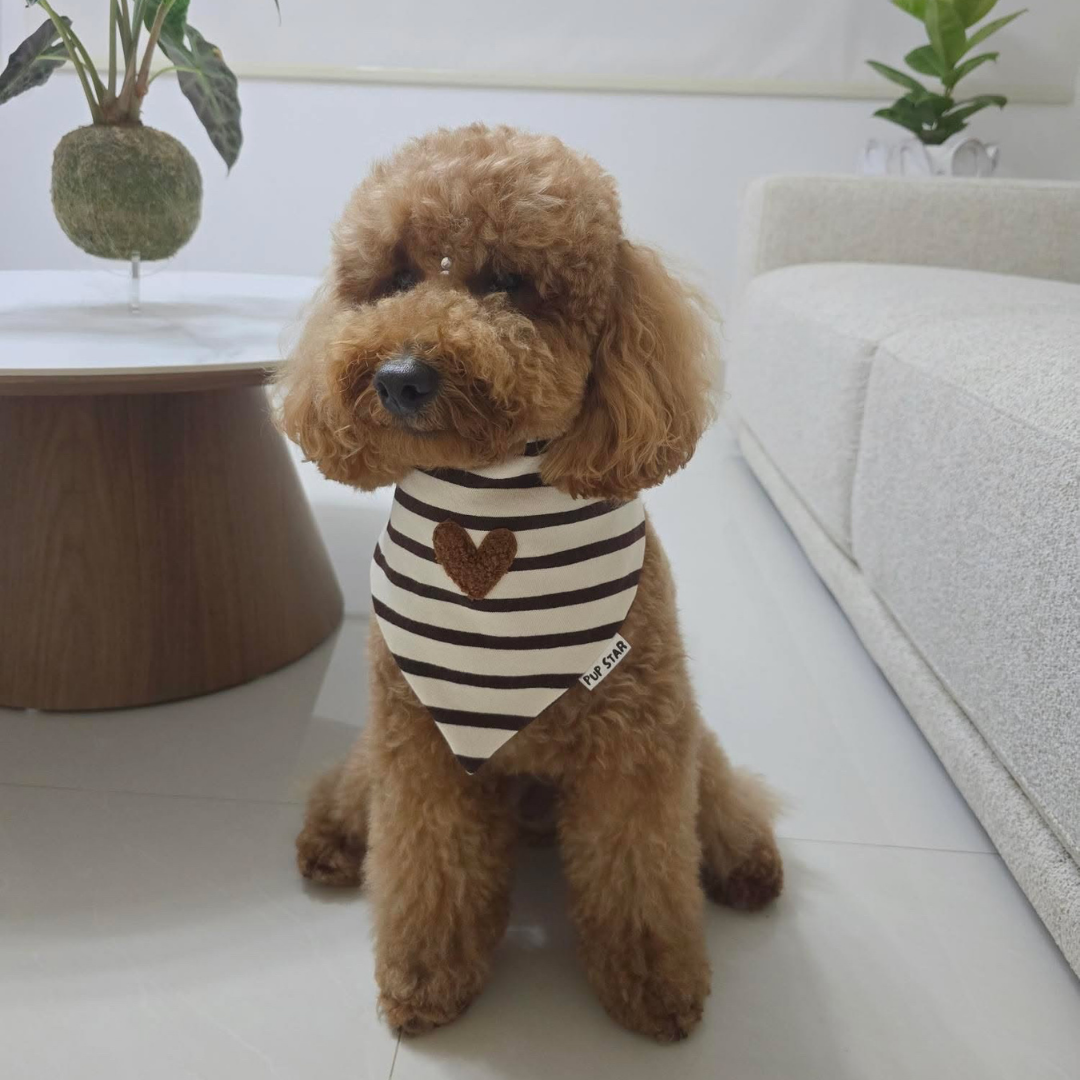COCOA STRIPES DOG BANDANA | Limited Edition*