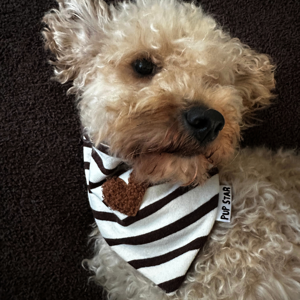 COCOA STRIPES DOG BANDANA | Limited Edition*