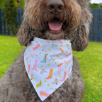 COME ON BOOTS DOG BANDANA (2-IN-1) *Limited Edition*