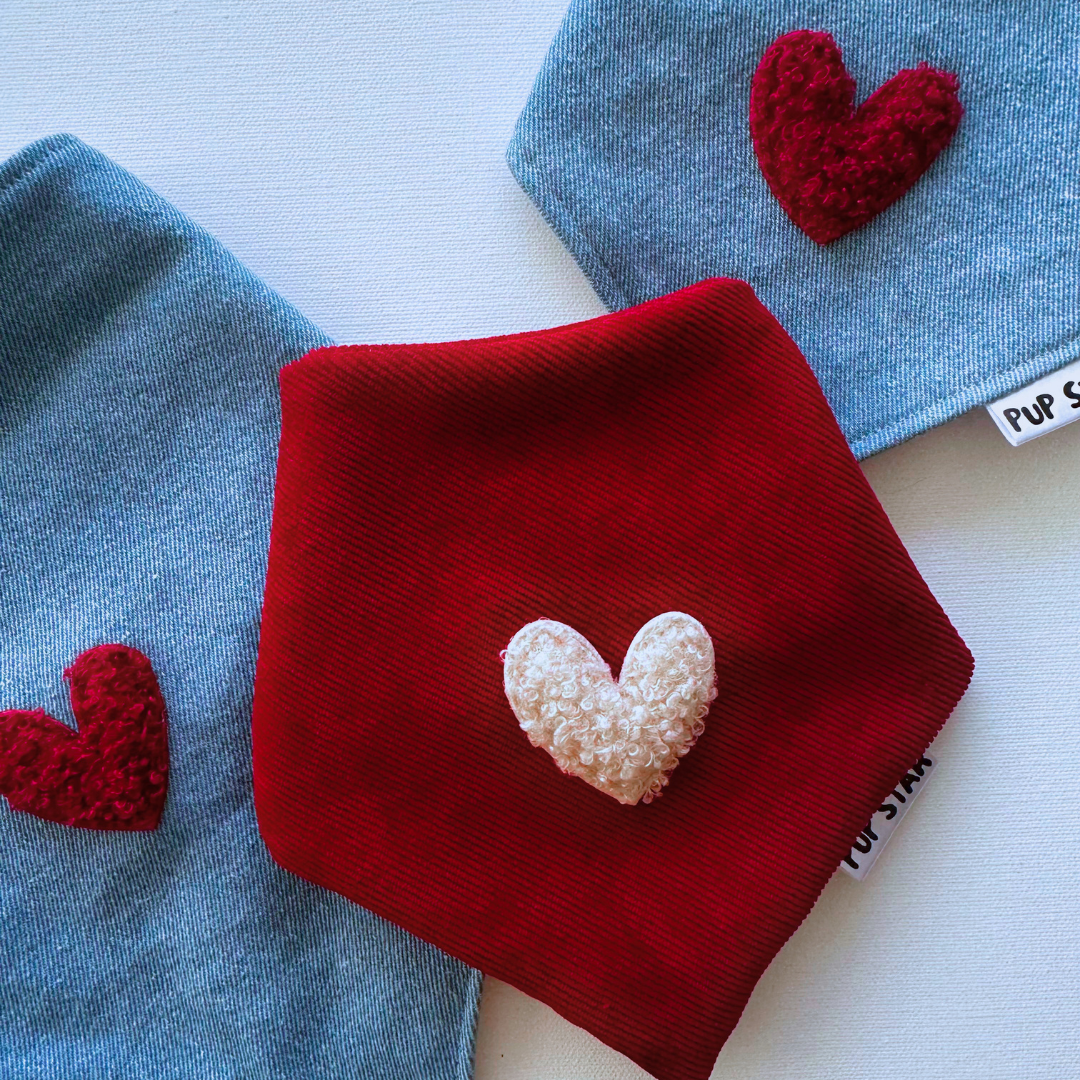 CORDUROY RED LOVE DOG BANDANA