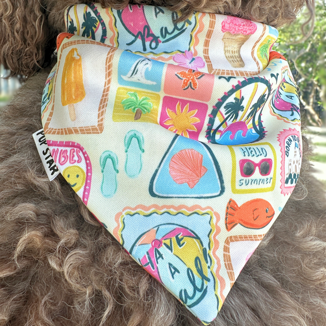 COASTAL POSTCARDS DOG BANDANA