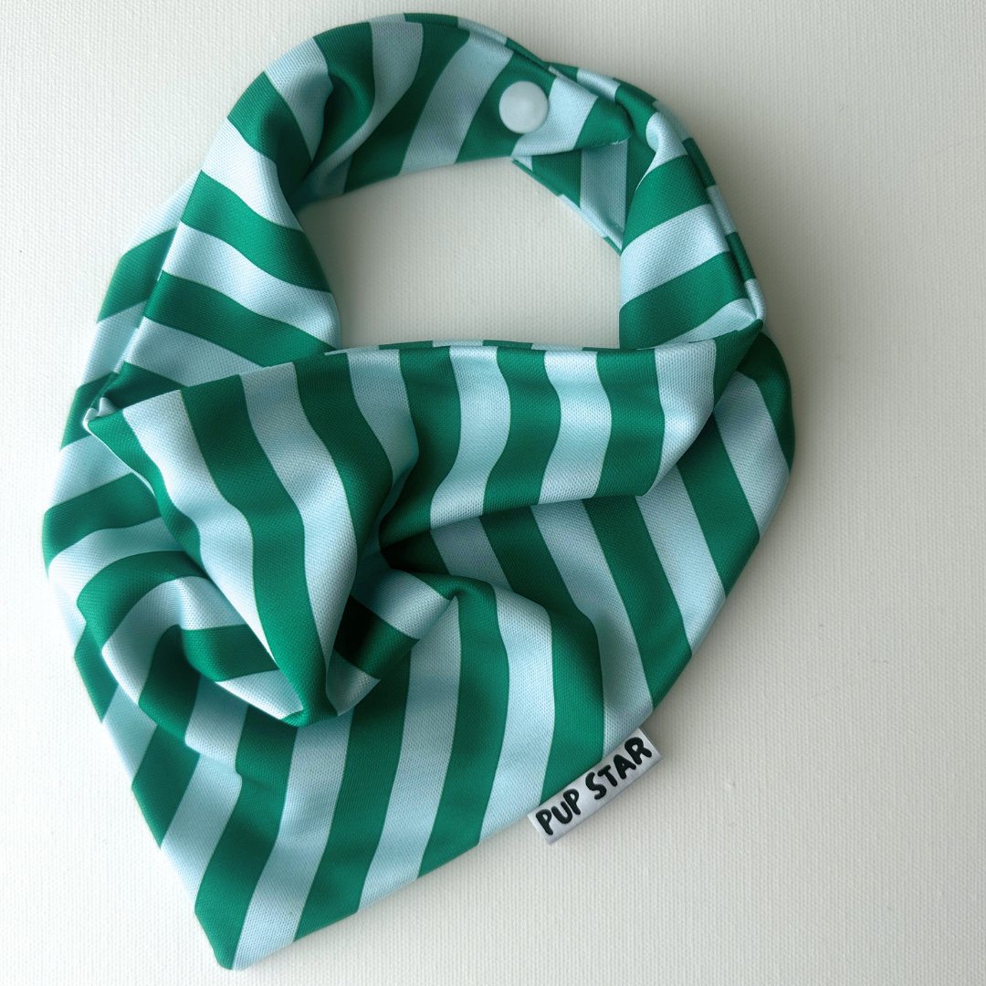 SEASIDE STRIPE DOG BANDANA