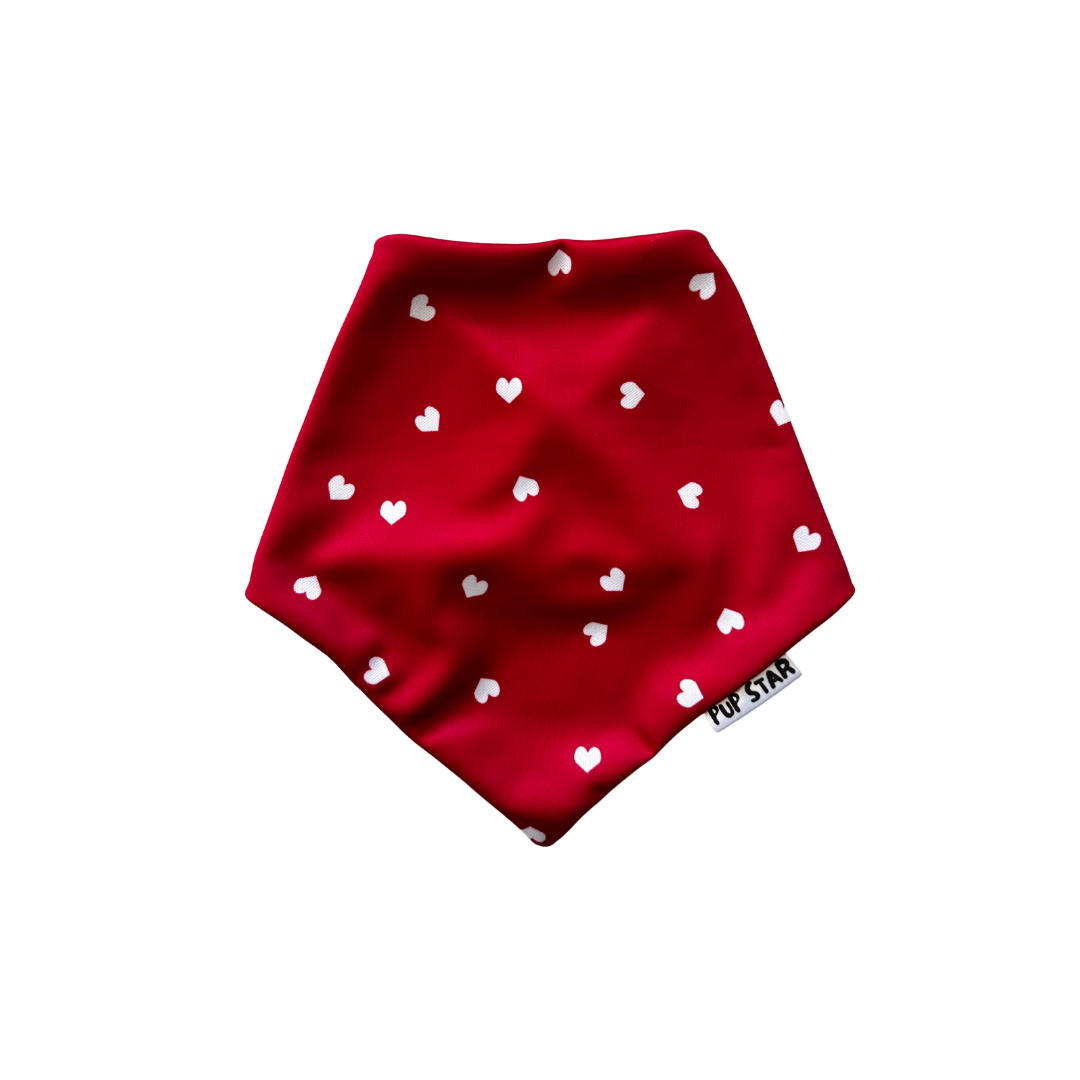 HEARTS BANDANA