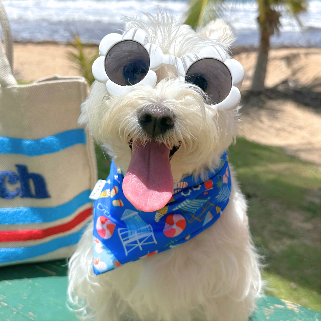 Tropical Dog Bandana, made from soft, durable, and breathable fabric perfect for warm, adventure-filled days.