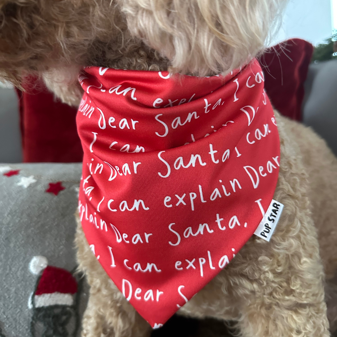 I CAN EXPLAIN DOG BANDANA *Limited Edition*