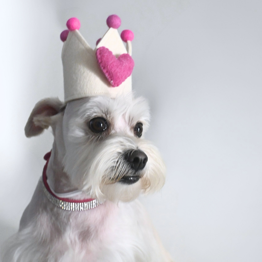 Mini celebration crown for dogs, cats, or kids — made of high-quality felt with adjustable elastic for a comfy fit.