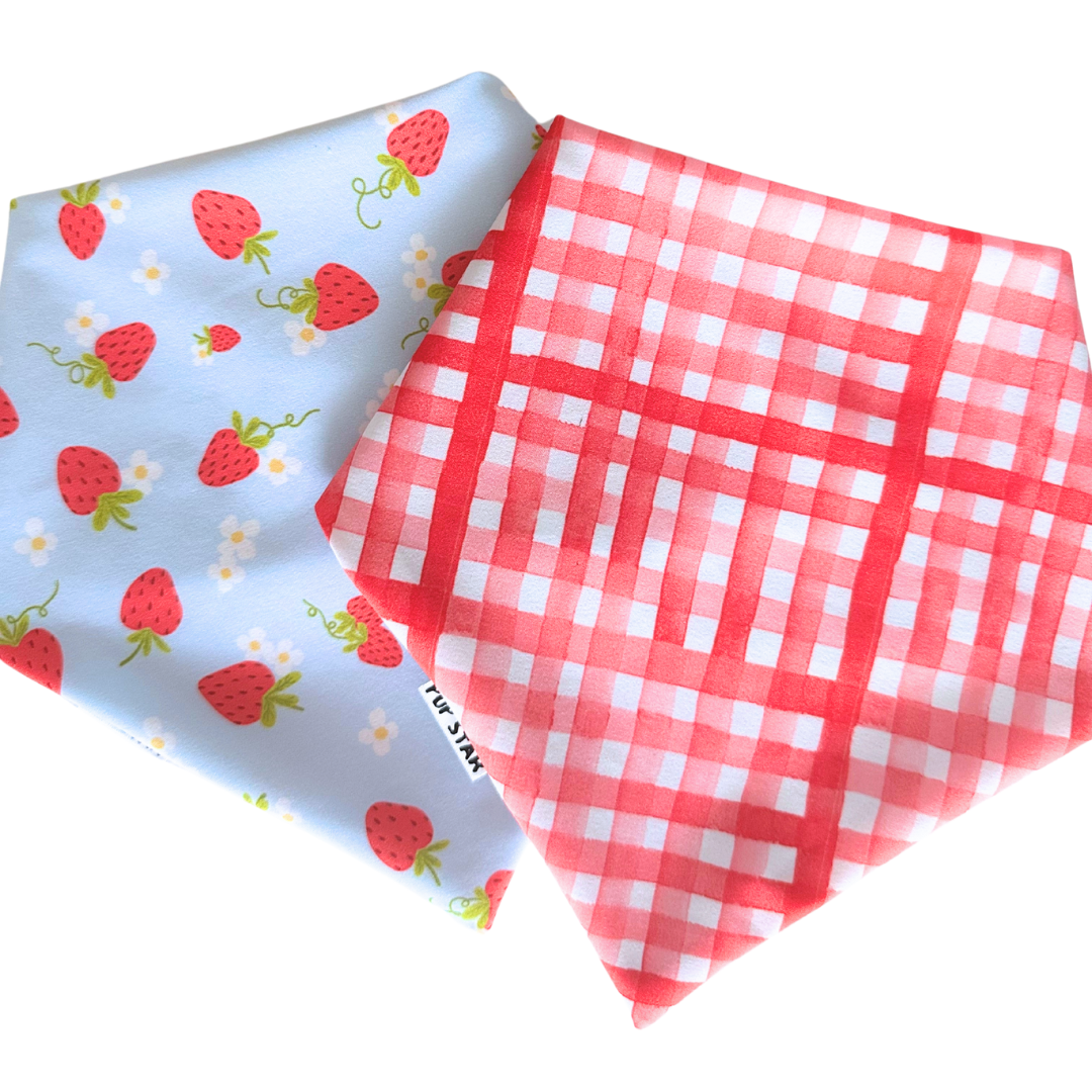 Reversible dog bandana with strawberry picnic print – waterproof, lightweight, and perfect for outdoor fun.