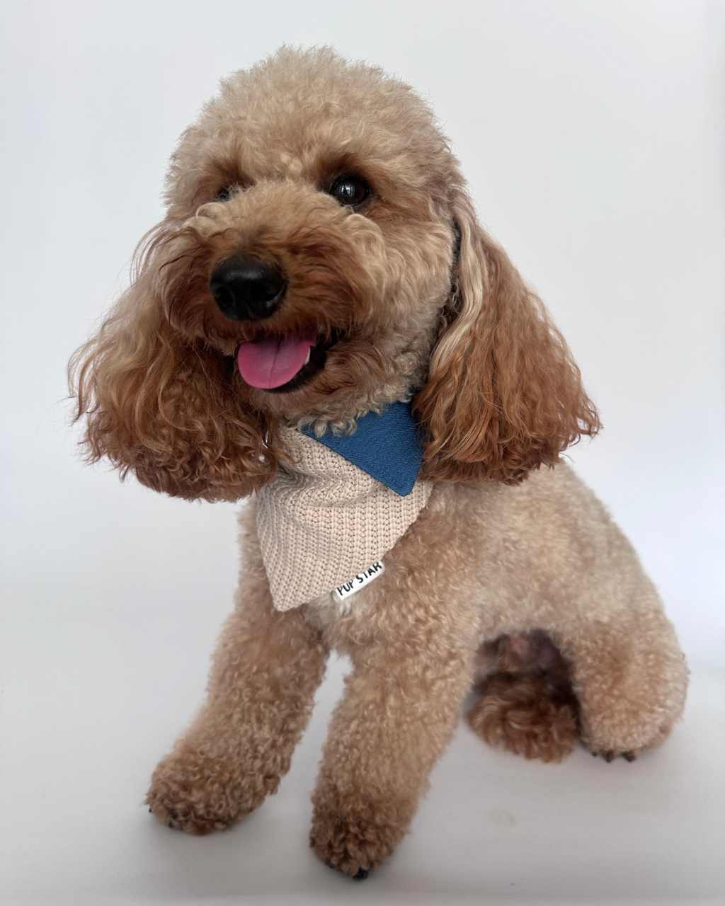 Harbor Knit Bandana
