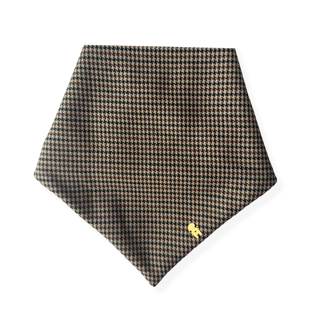 HANDSOME DOG BANDANA