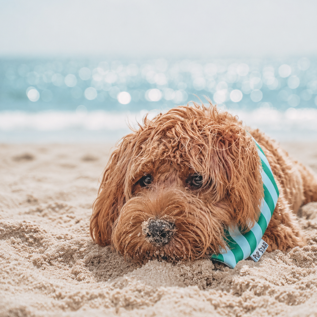 SEASIDE STRIPE DOG BANDANA