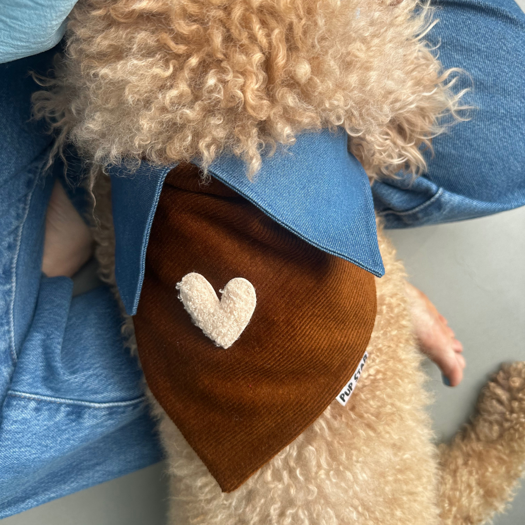 CORDUROY BROWN LOVE DOG BANDANA