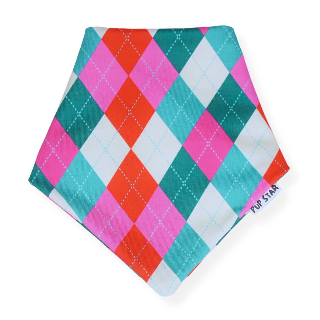 Let your pup steal the spotlight with our&nbsp;Retro bandana, made from soft, breathable, and durable fabric perfect for pups with a playful spirit and a love for standout style.
