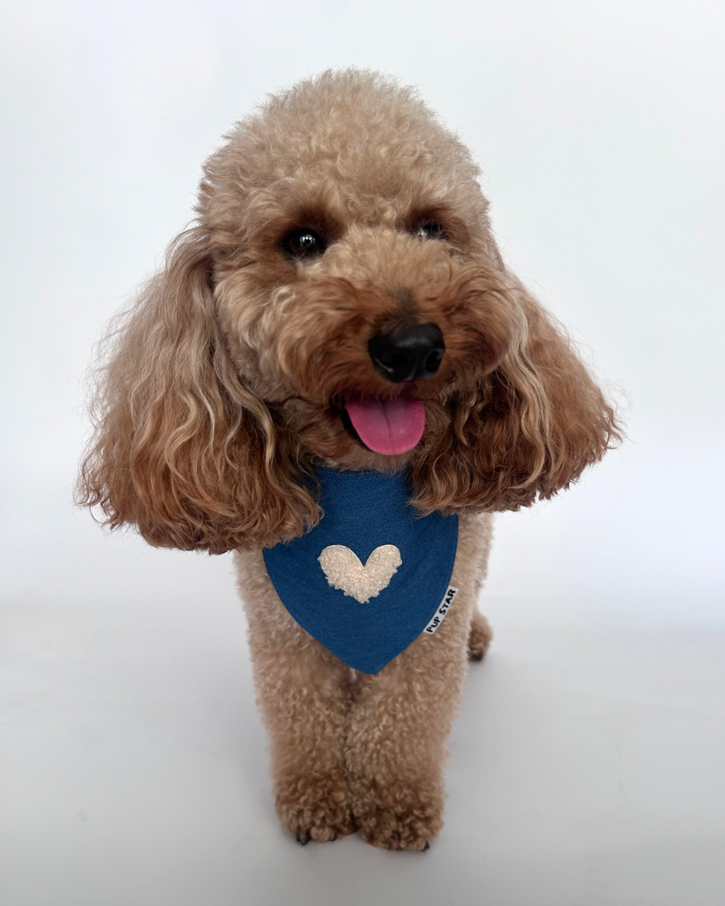 Harbor Heart Bandana