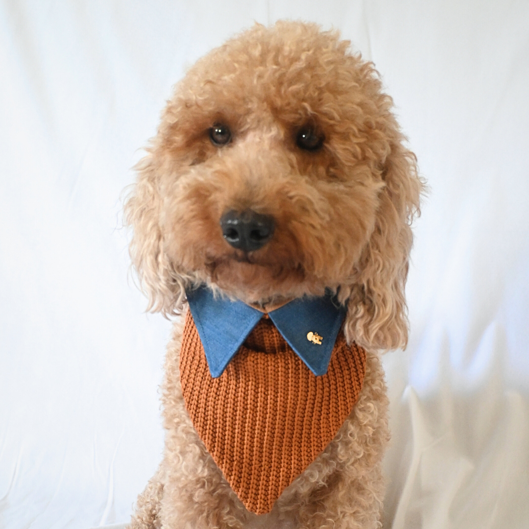 RUSTIC COPPER DOG BANDANA