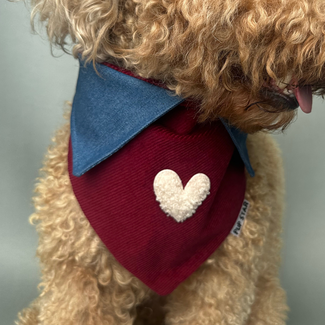 CORDUROY BURGANDY LOVE DOG BANDANA