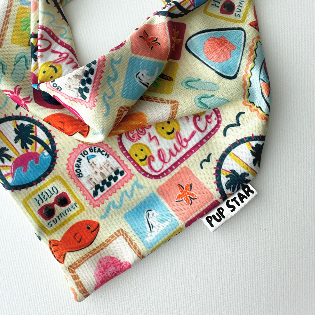 COASTAL POSTCARDS DOG BANDANA