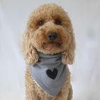 Blue Love Bandana 💙
Soft, sweet, and made to melt hearts.
Push-button closure + sherpa heart detail.