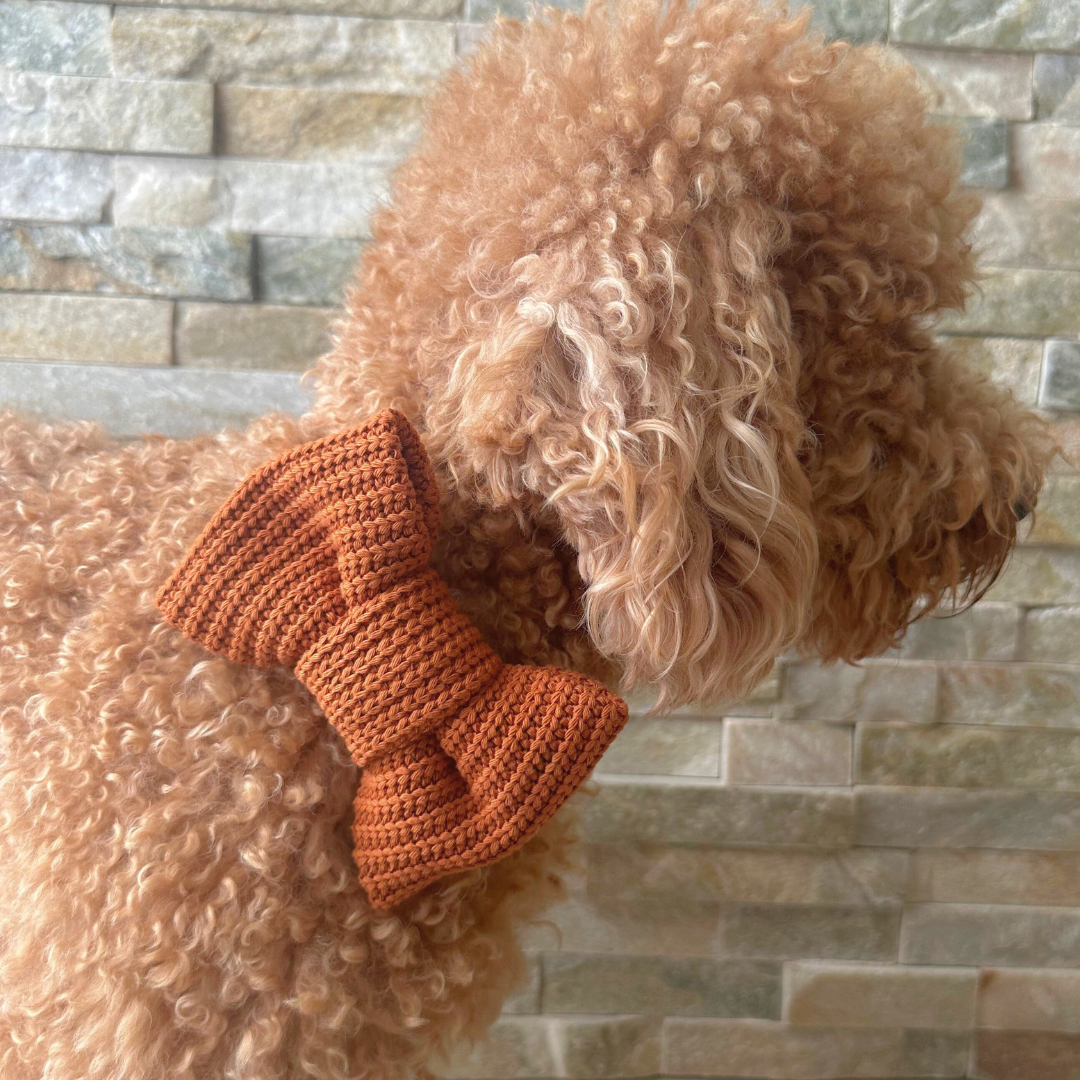 Handmade terracota bow tie for dogs — thick cotton knit, elastic attachment, and perfect for any outing or photoshoot.