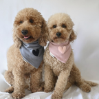 Blue Love Bandana 💙
Soft, sweet, and made to melt hearts.
Push-button closure + sherpa heart detail.