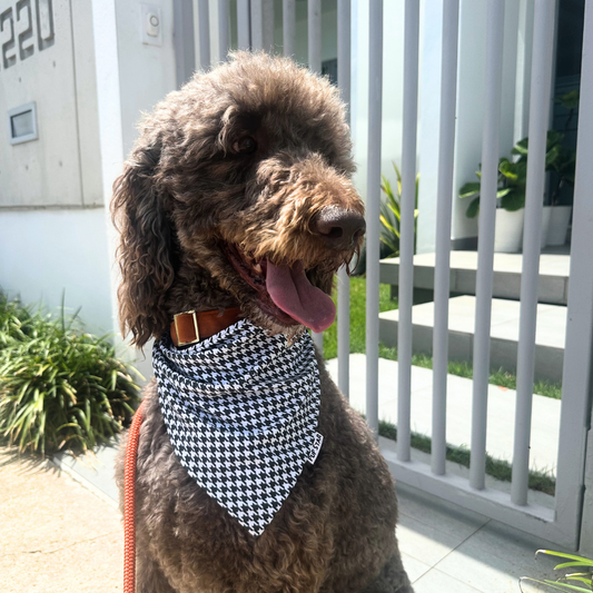 Adorable dog wearing the Green Houndstooth Dog Bandana, featuring a soft and breathable fabric with a classic green houndstooth pattern.