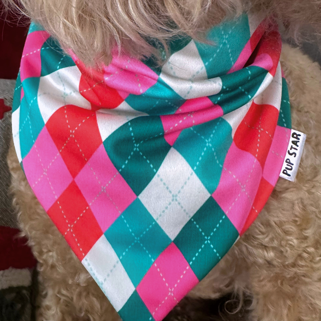 Let your pup steal the spotlight with our&nbsp;Retro bandana, made from soft, breathable, and durable fabric perfect for pups with a playful spirit and a love for standout style.