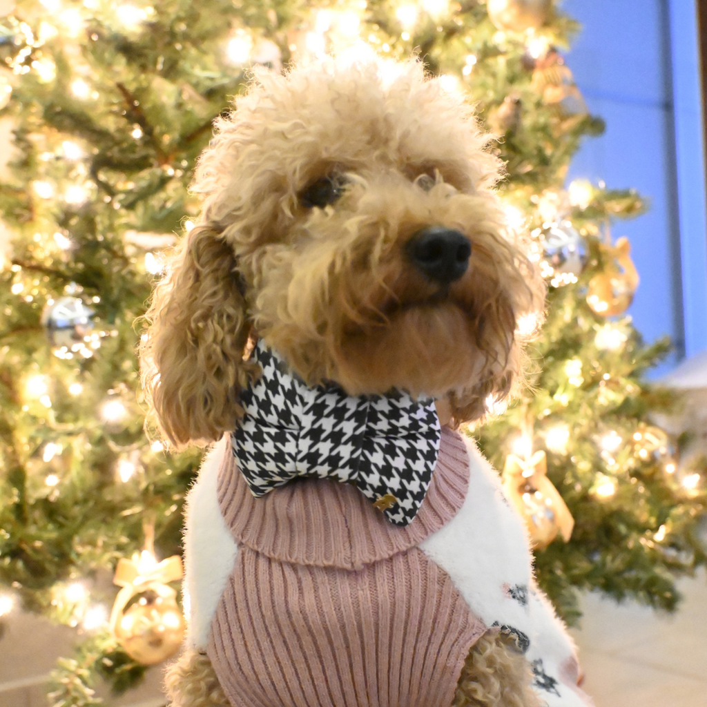 STREET STYLE MEDIUM BOW TIE