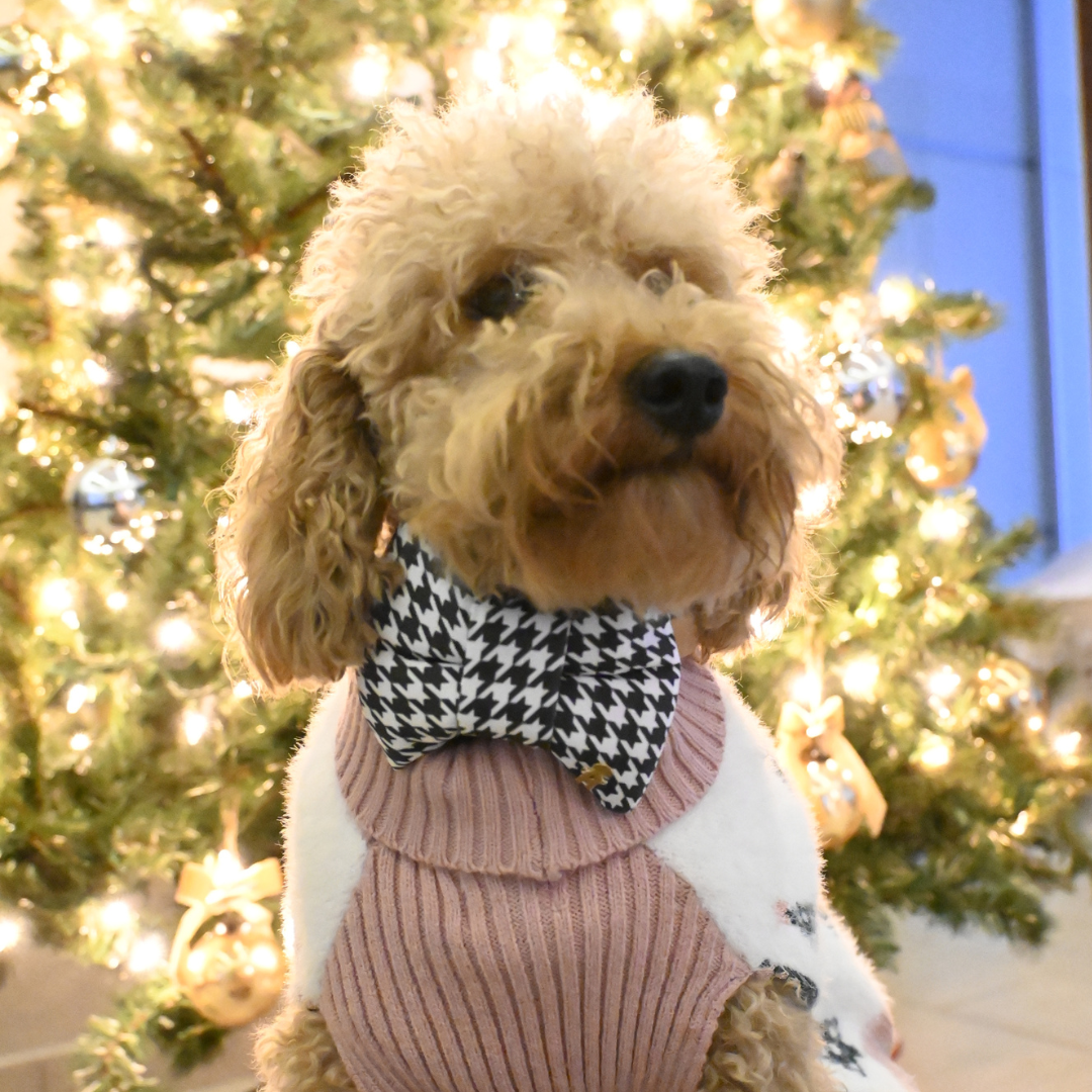 STREET STYLE MEDIUM BOW TIE