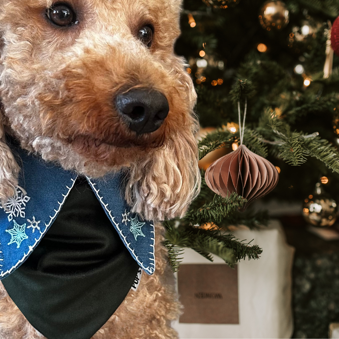 SNOW VELVET DOG BANDANA | Limited Edition*
