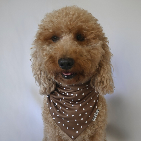 Our reversible bandana brings two adorable styles in one: one side with delicate polka dots and the other with a cute bear print. Made from polyester with sun protection, it’s lightweight, fresh, breathable, and comfortable — perfect for your pup to look amazing anytime.
📍 Handmade with love in Puerto Rico.