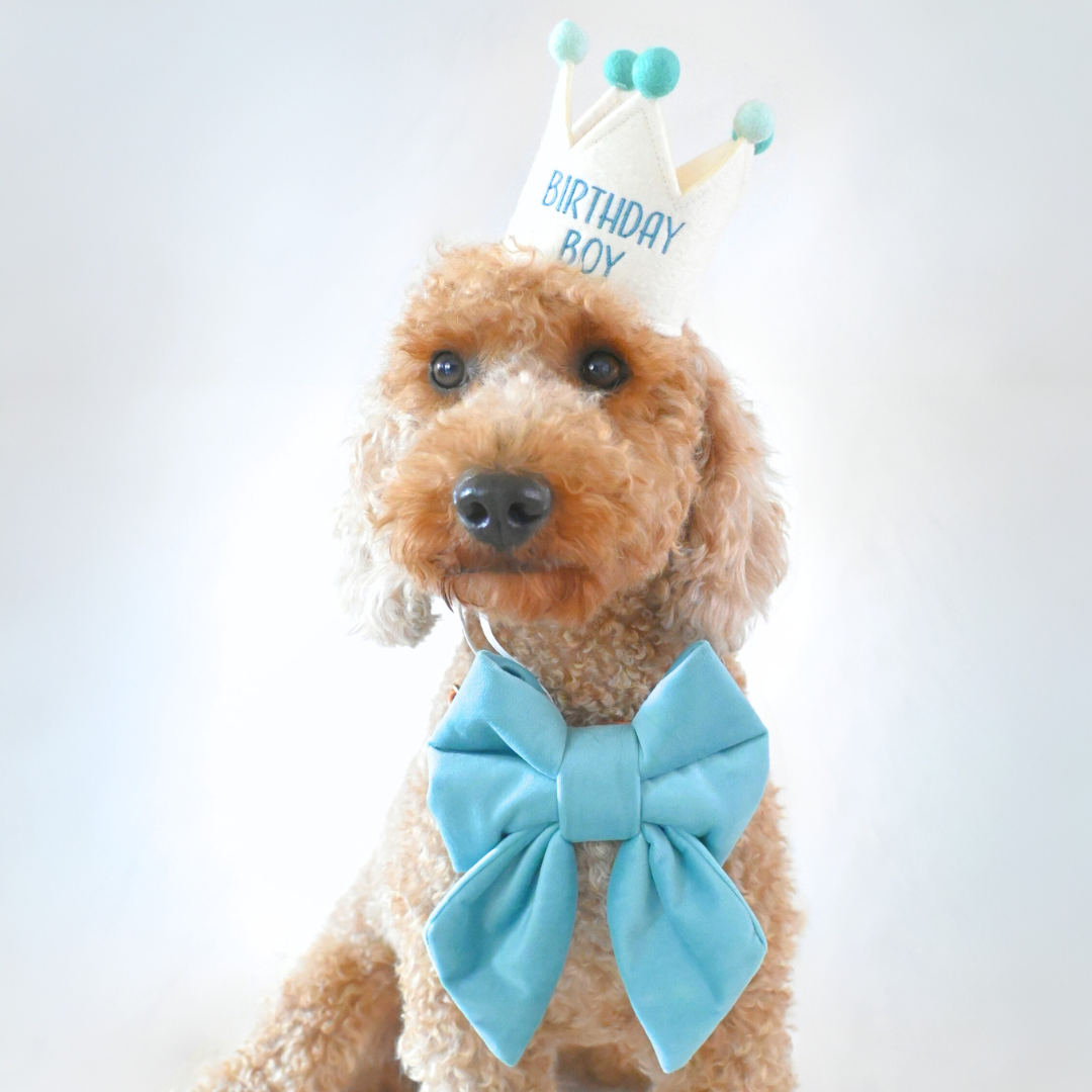 BIRTHDAY BOY CROWN