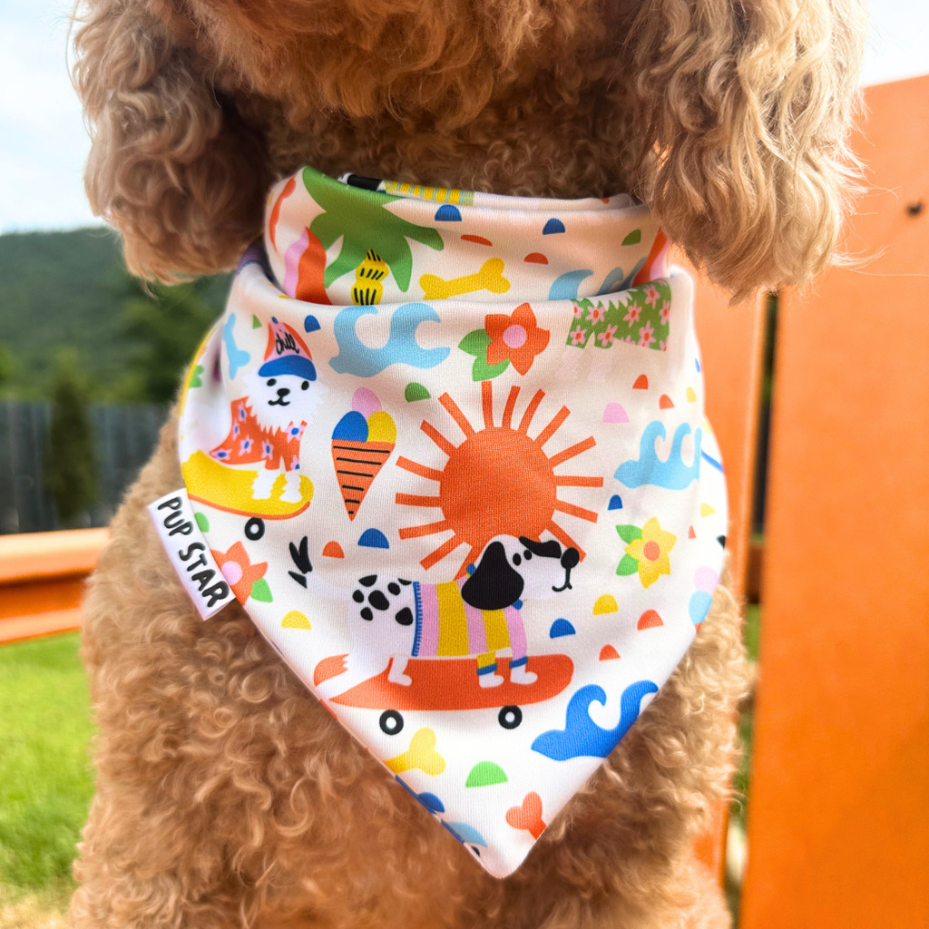 CHILL DOG BANDANA *Limited Edition*