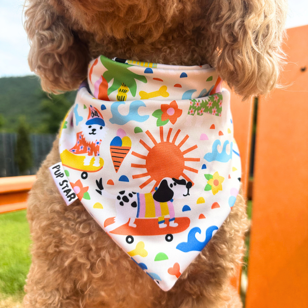 CHILL DOG BANDANA *Limited Edition*